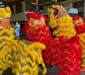 Chi Phí Thuê Múa Lân Tăng Nhơn Phú Bao Nhiêu?