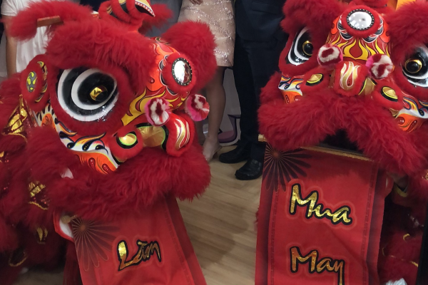 Báo Giá Múa Lân Biên Hòa Chi Tiết Theo Từng Gói