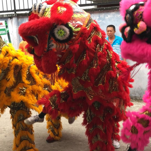 Kinh Nghiệm Thuê Múa Lân Long Khánh Cho Lễ Khai Trương