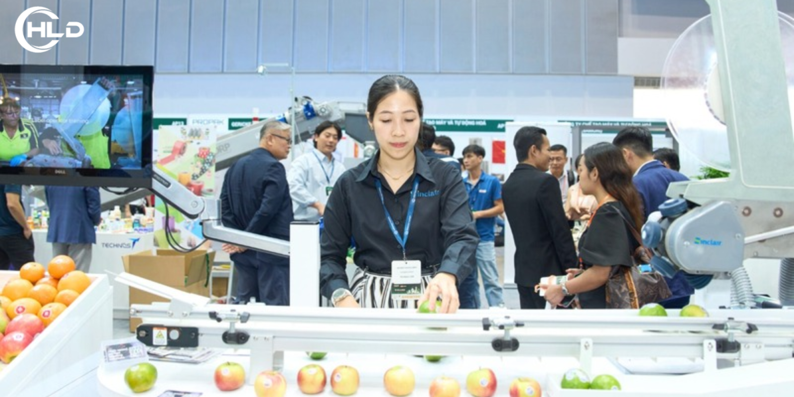 Quy Trình Tổ Chức Hội Chợ Triển Lãm Chuẩn Quốc Tế