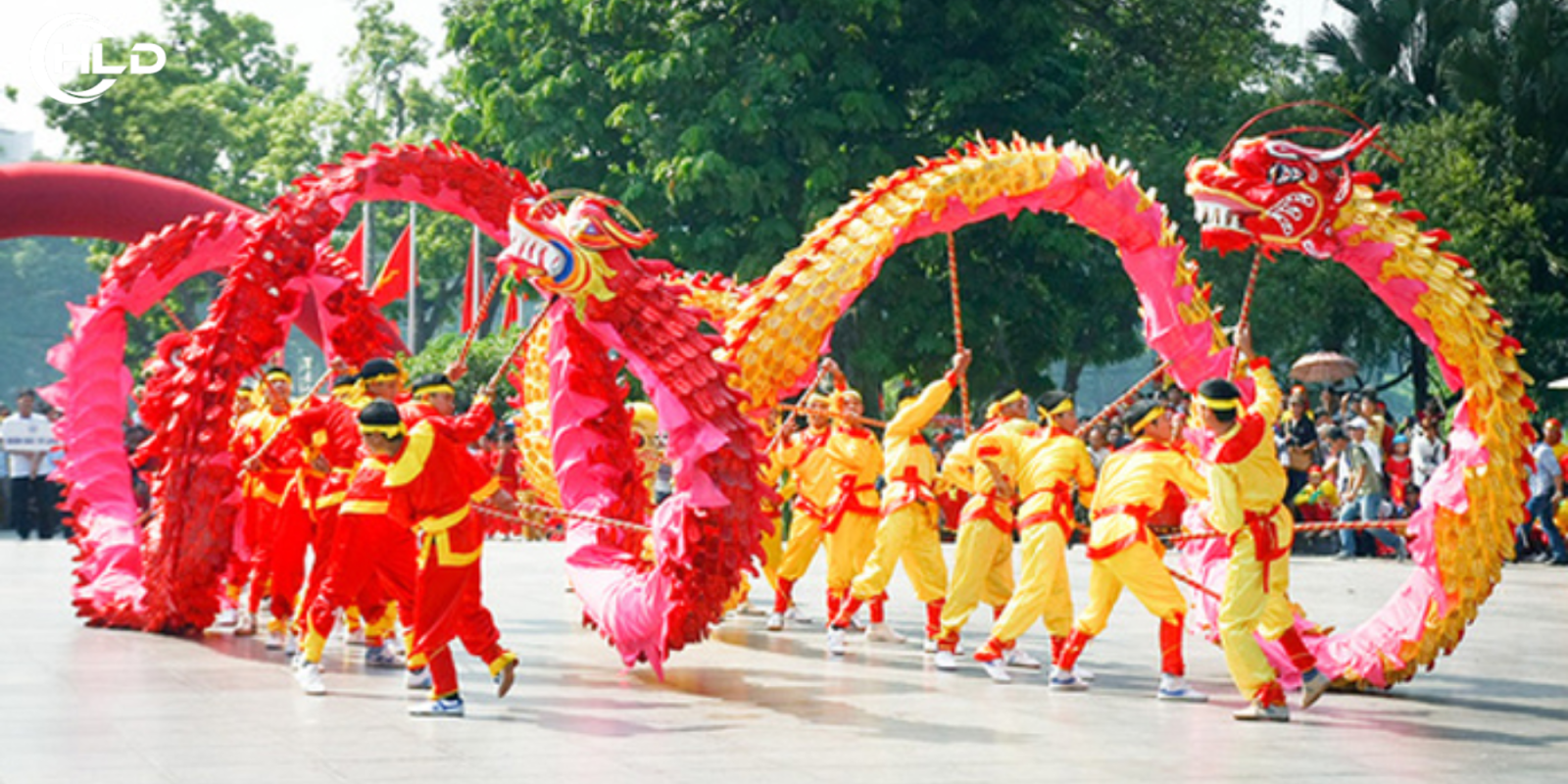 Múa Lân Phước Long - Khai Trương May Mắn - Giá Rẻ