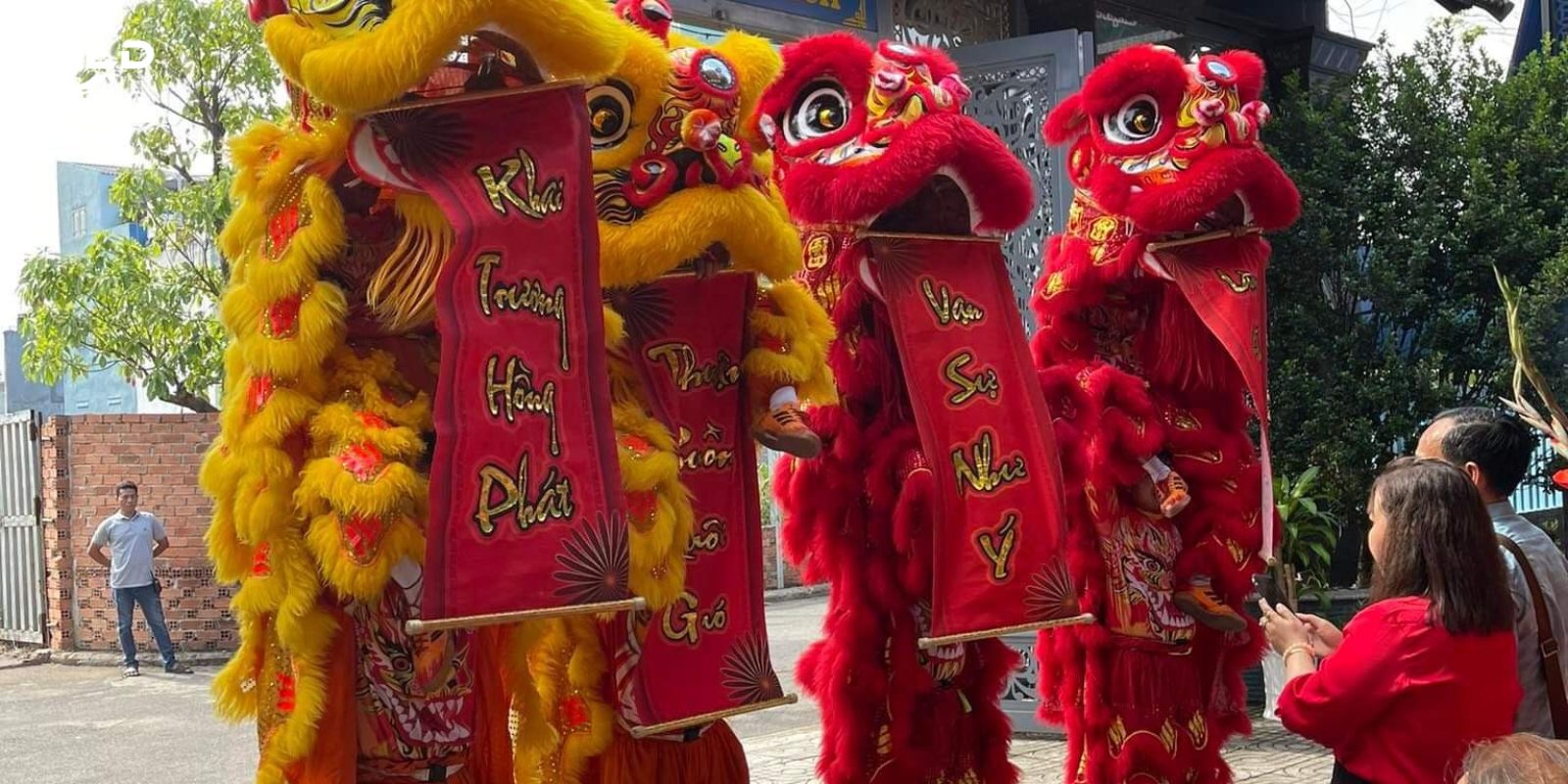 Chi Phí Thuê Múa Lân Tăng Nhơn Phú