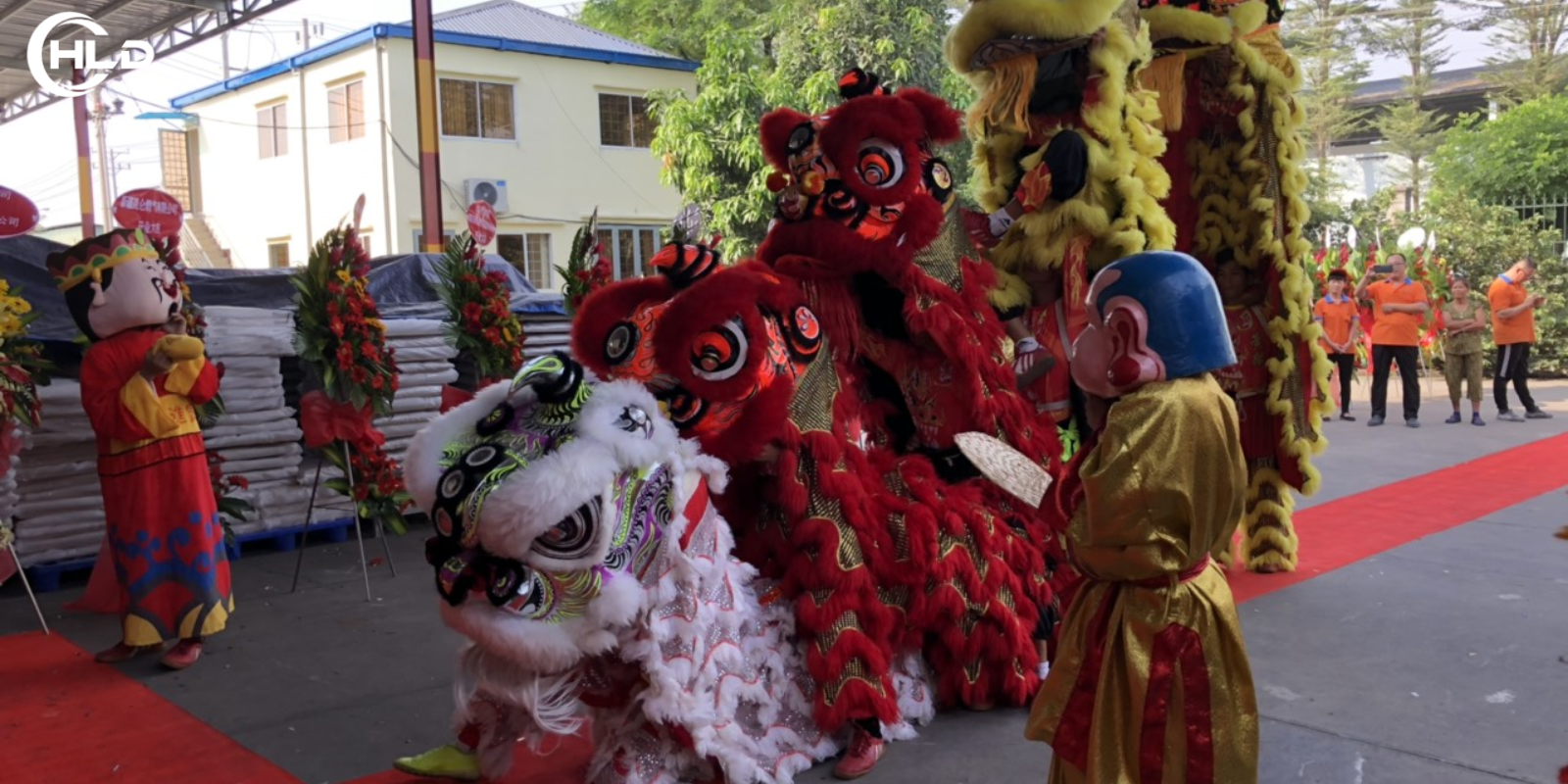 Dịch Vụ Múa Lân Long Bình