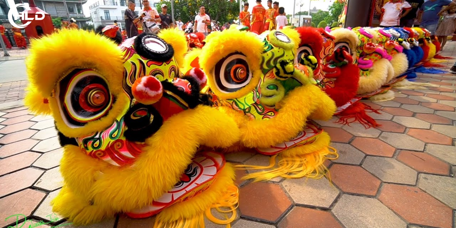 Đội Múa Lân Trảng Bom Uy Tín