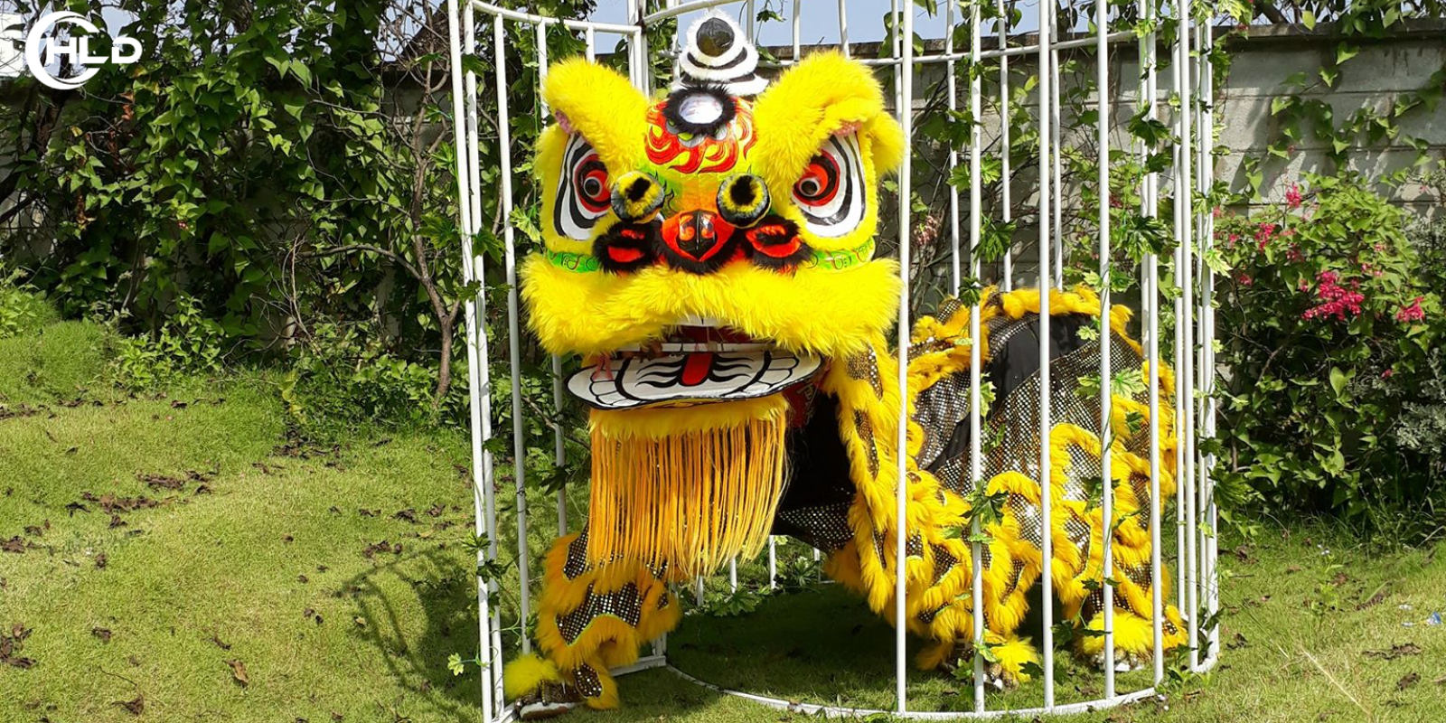 Thuê Múa Lân Linh Xuân